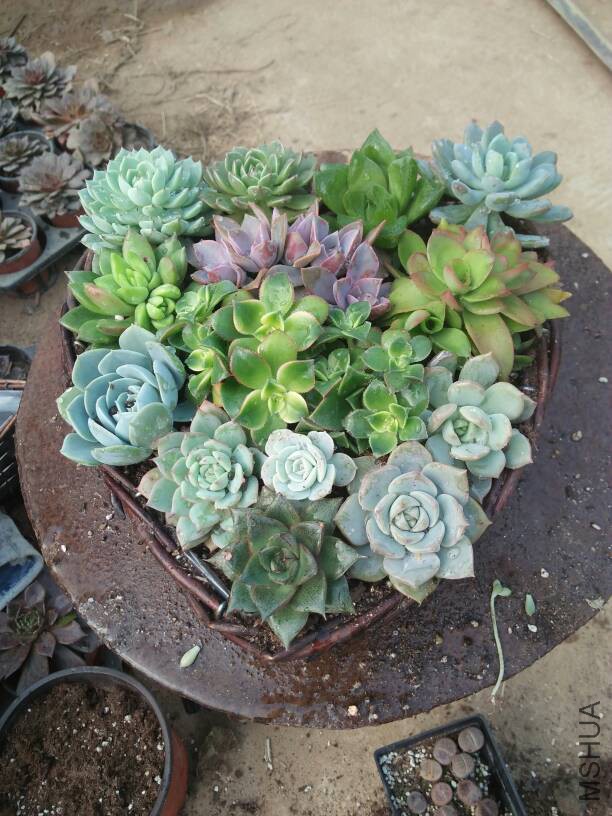 130727dgckj9fsppkg9l0f.jpg