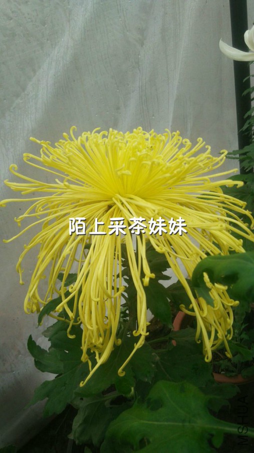 ׿Լ���� (1)_meitu_2.jpg