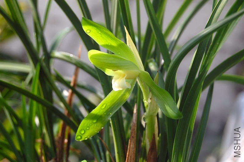 DSC_01920192.JPG