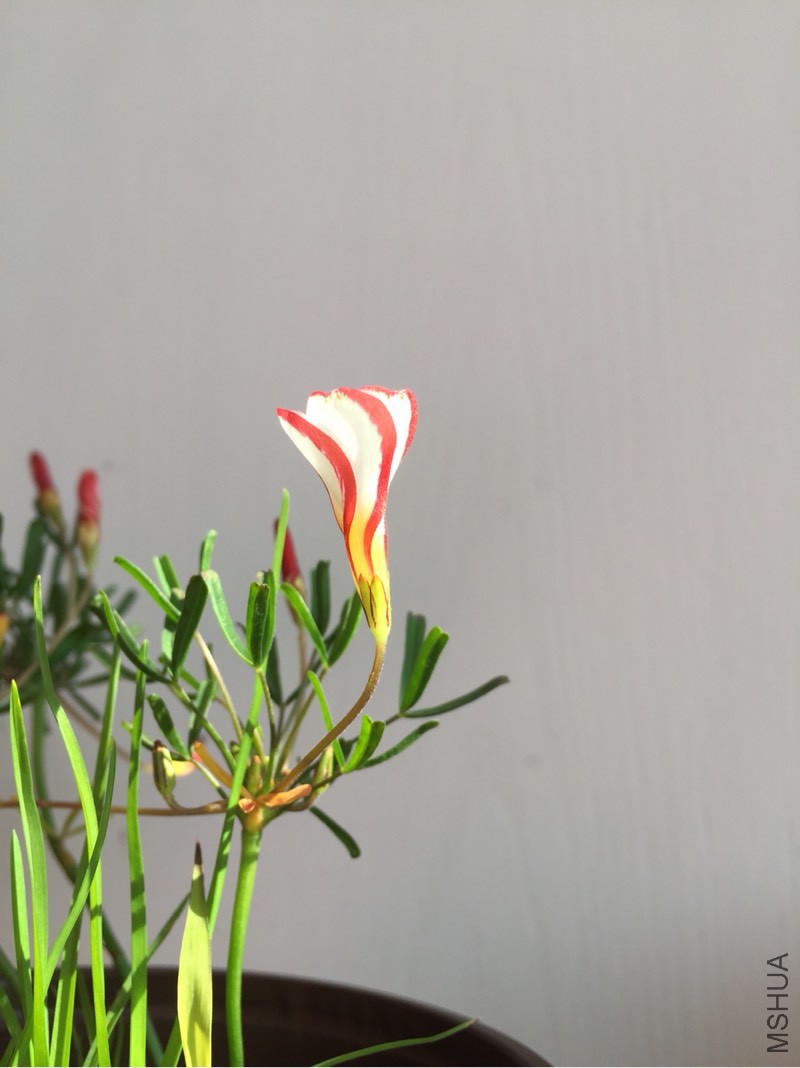 214451hqx63lkxxnex7sxn.jpg