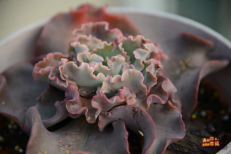 ��Ƭ 122_����.jpg