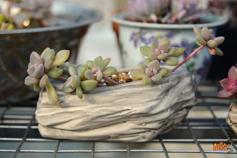 ��Ƭ 137_����.jpg