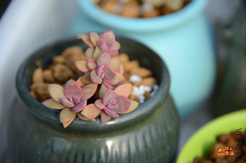 ��Ƭ 140_����.jpg