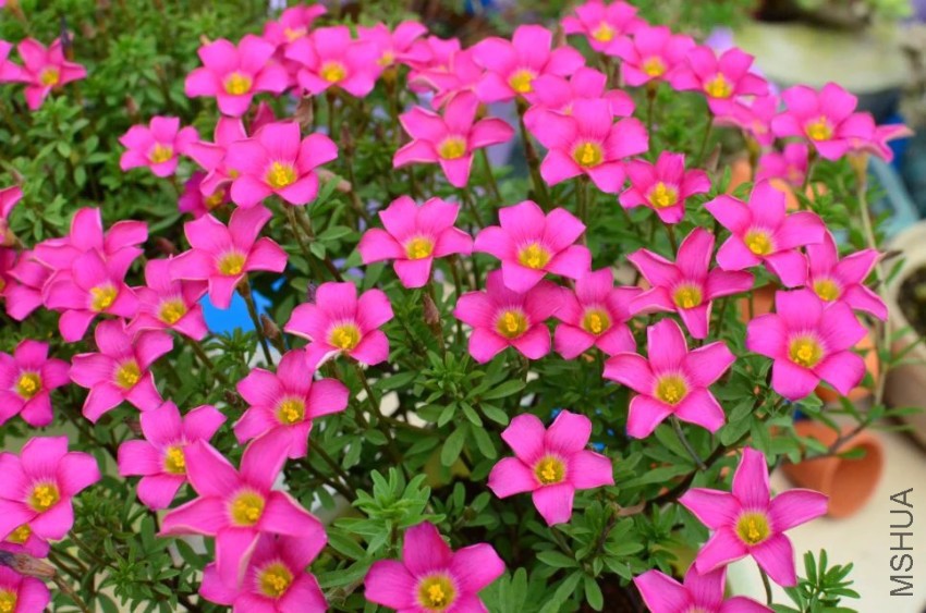 ˿�񳤷�6.jpg