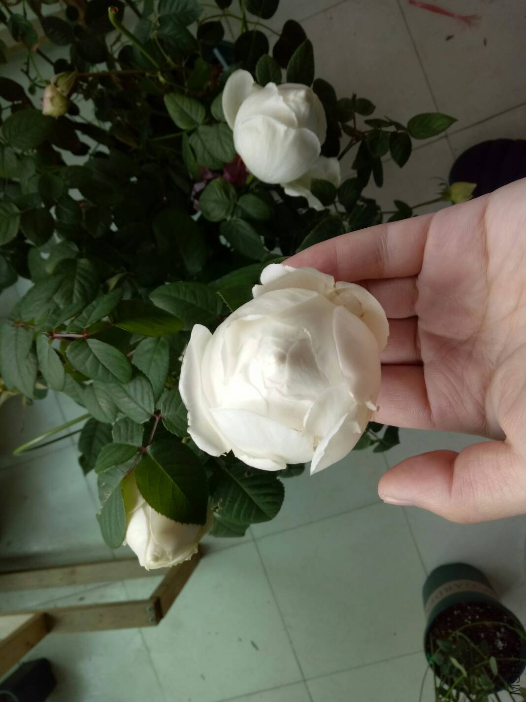 101807rtdryjtqcct5kyy5.jpg