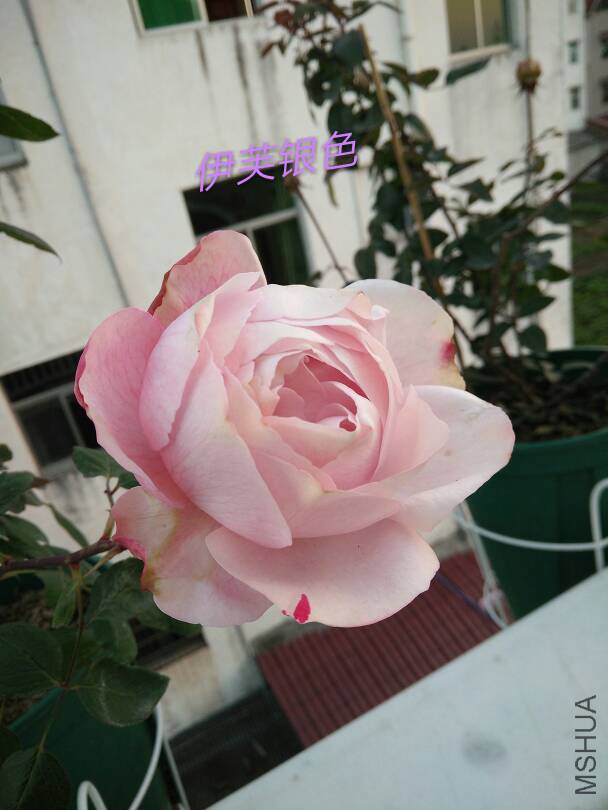 093023w6ufxm5c751ch9wx.jpg