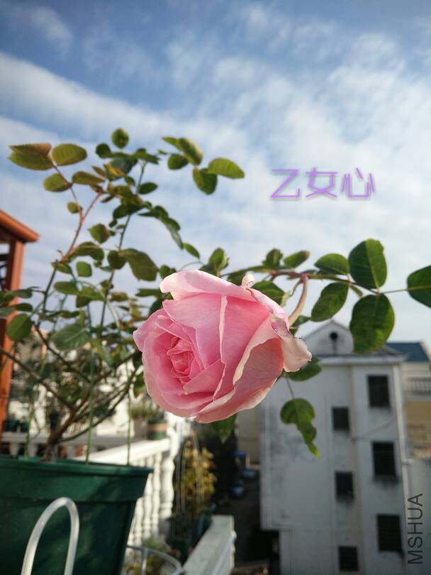 093409zimx1kl3lil3xs8m.jpg