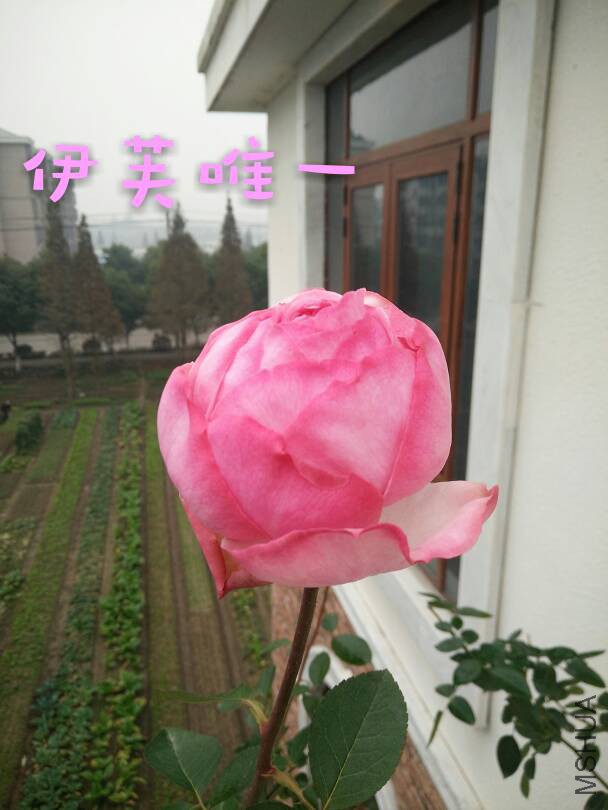 094032r5mybj4em5n46bey.jpg