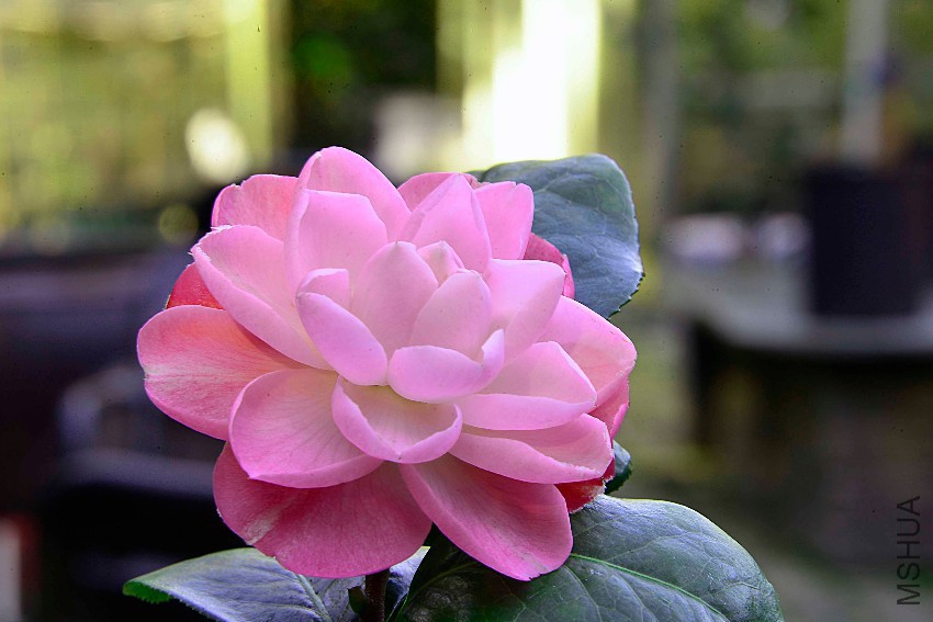 _DSC7208-AA_edited-1.jpg