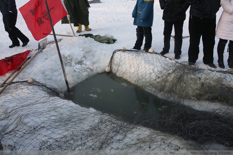 10a 827697616036520539.jpg