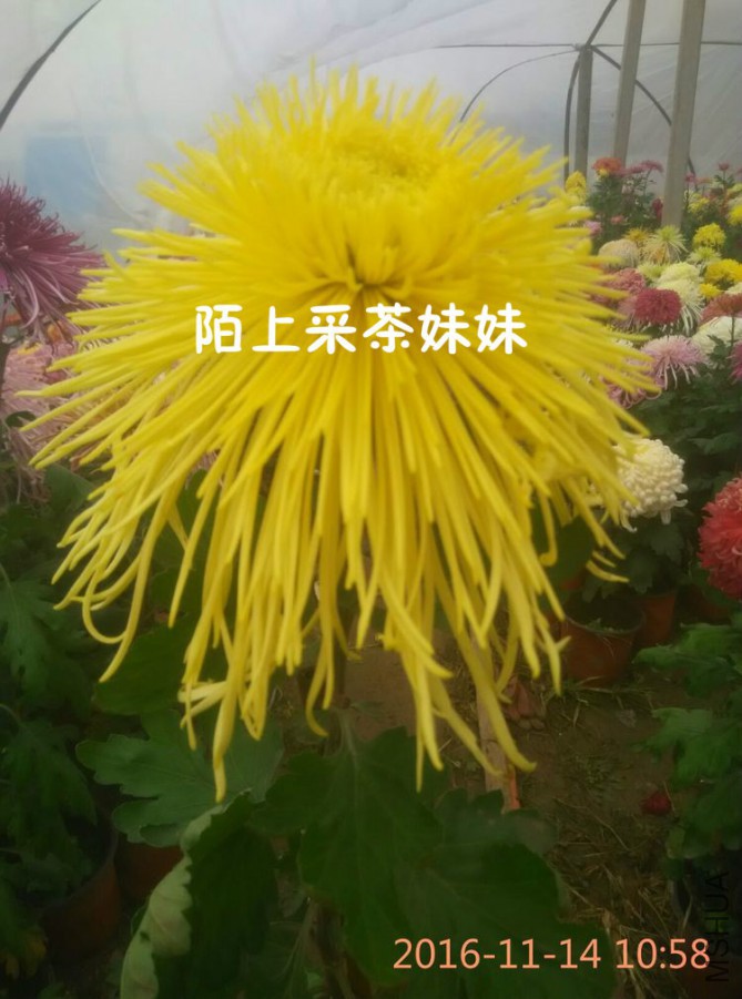 ������� (1)_meitu_9.jpg