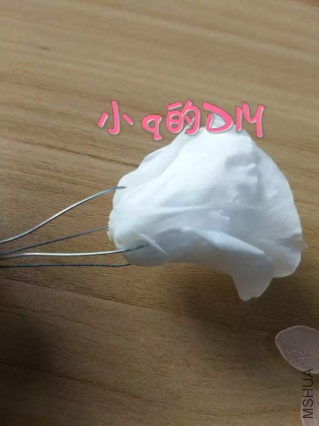 e4b19042-07db-41b0-b34b-c94e54741af8.jpg