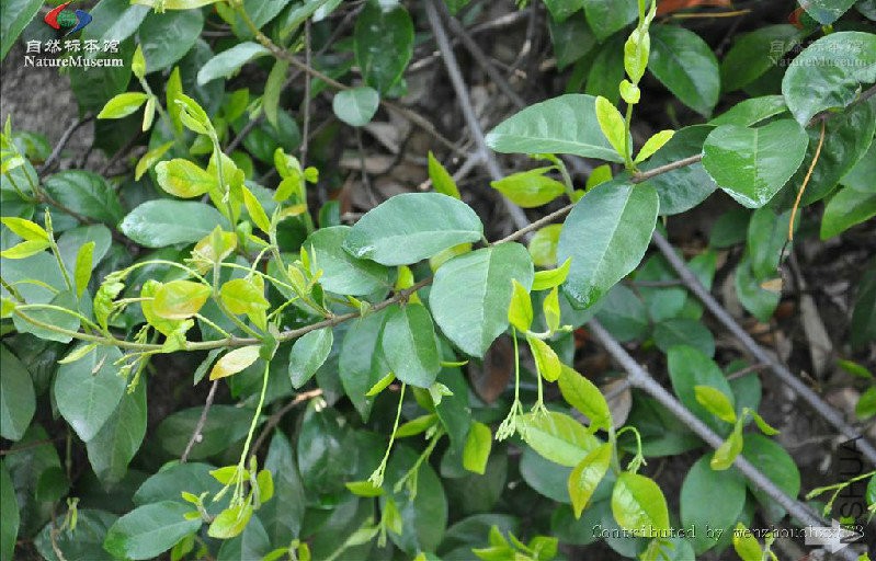 2015-12-02 13 12 15.jpg