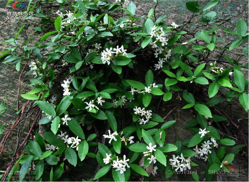 2015-12-02 13 42 03.jpg