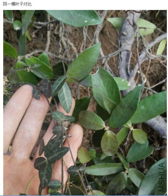 2016-12-19 19 51 15.jpg