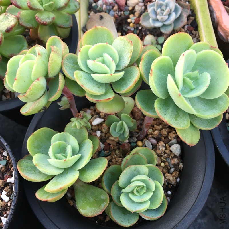 115654hw6lcqb7rzk77xax.jpg
