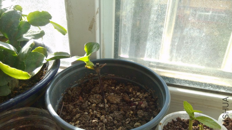 20161108_06.jpg