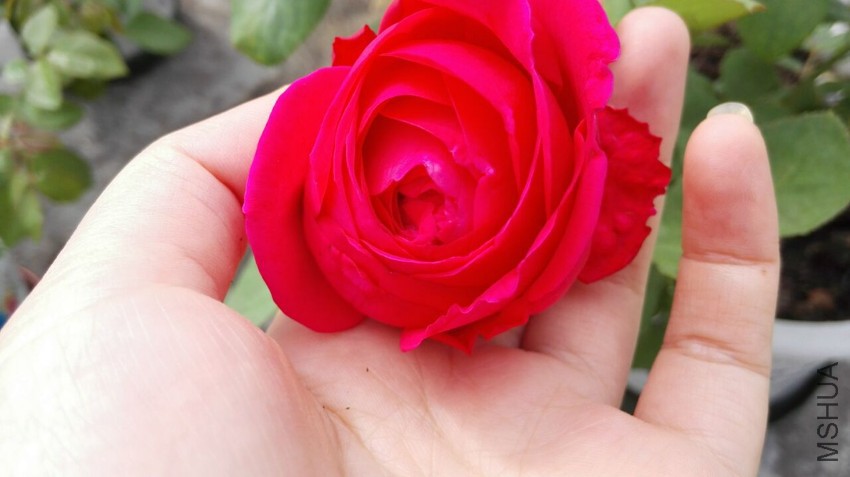 064F3CD861CD8D5EFFFEA6FA3B00E37C.jpg
