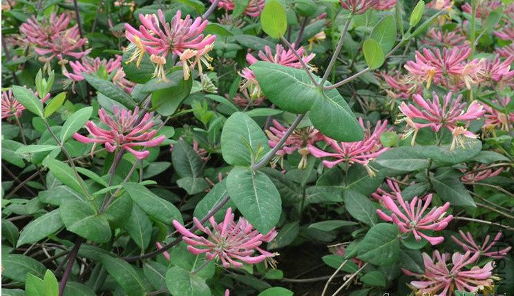 2016-12-20 18 02 16.jpg