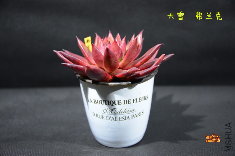 ��Ƭ 011_����.jpg