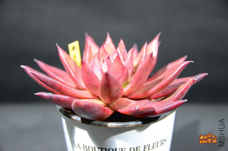 ��Ƭ 013_����.jpg