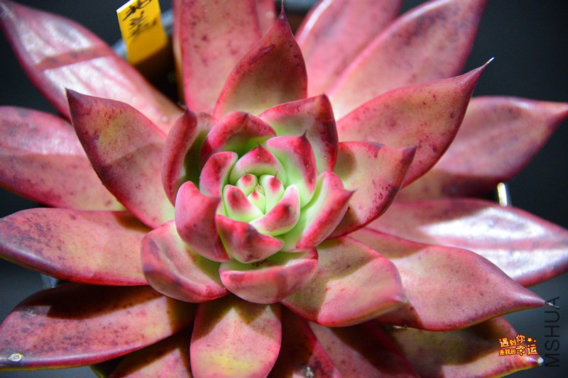 ��Ƭ 016_����.jpg