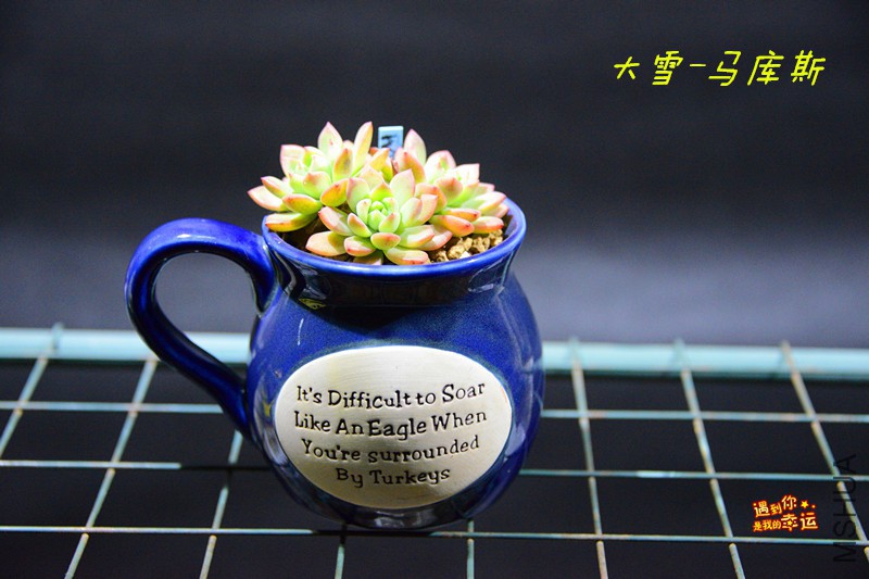 ��Ƭ 042_����.jpg