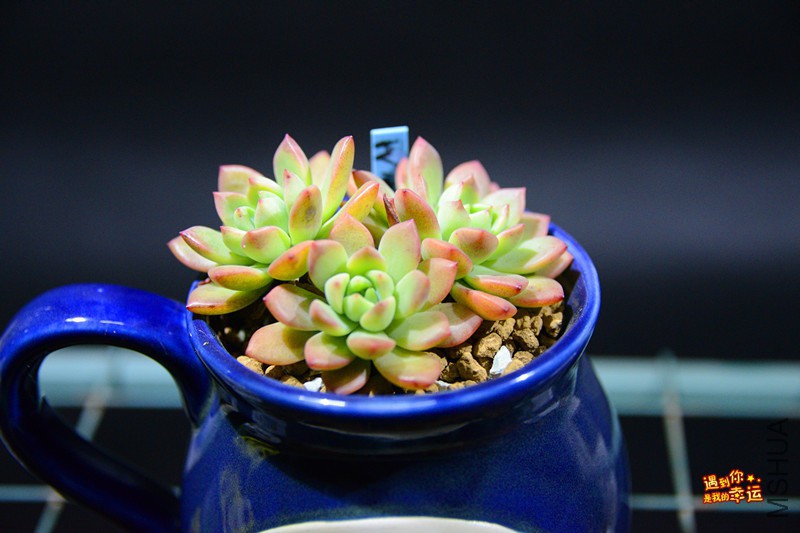 ��Ƭ 043_����.jpg