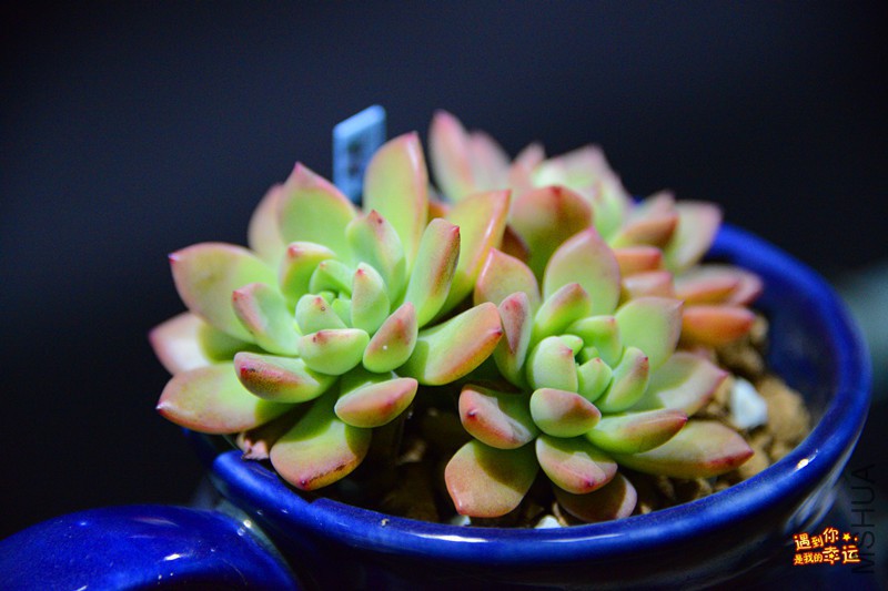 ��Ƭ 044_����.jpg