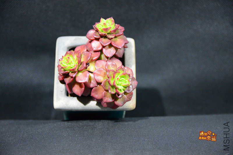 ��Ƭ 007_����.jpg