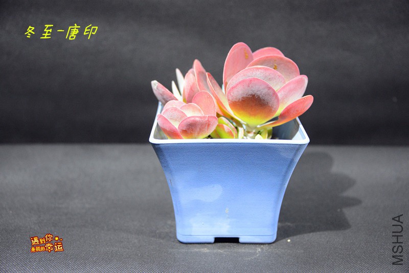 ��Ƭ 021_����.jpg