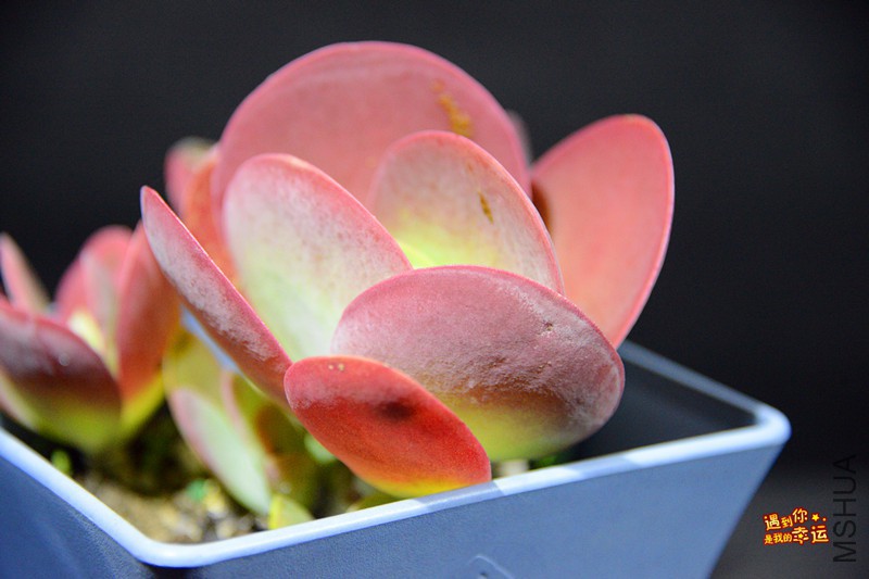 ��Ƭ 022_����.jpg