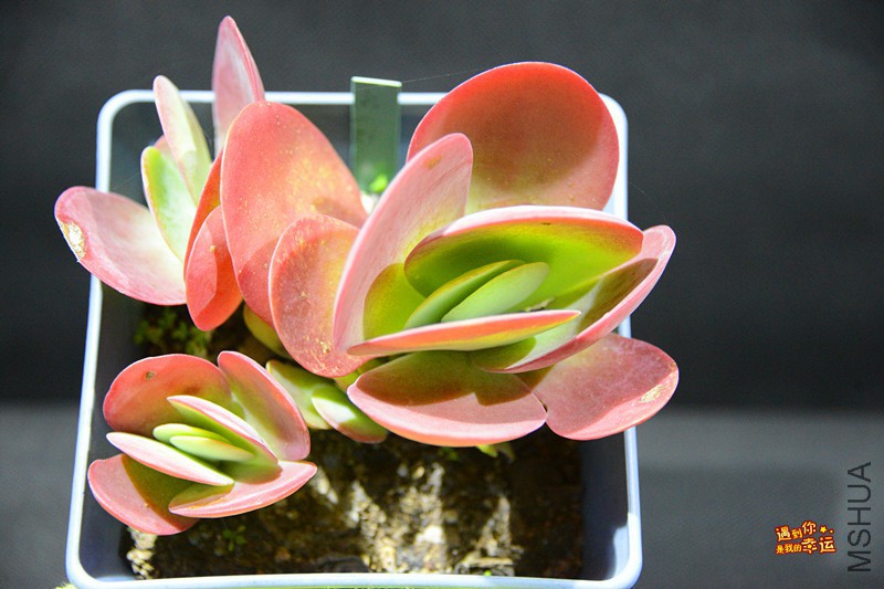 ��Ƭ 023_����.jpg