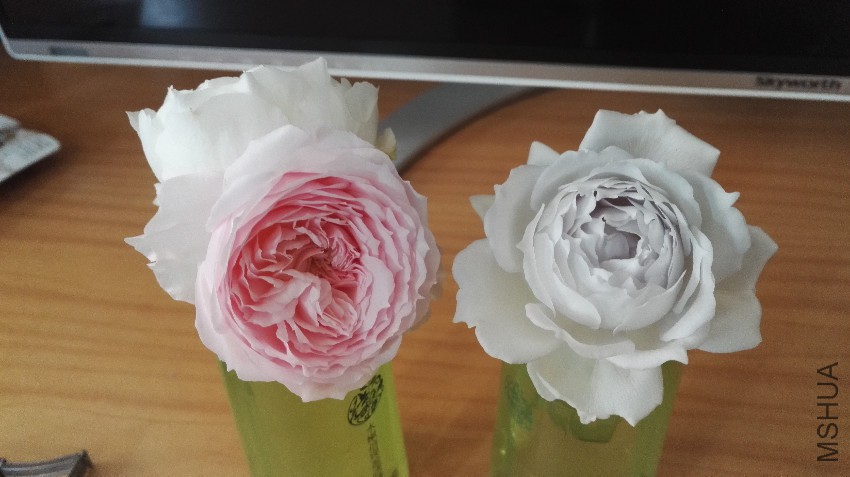 �����ҵ���ʹ����