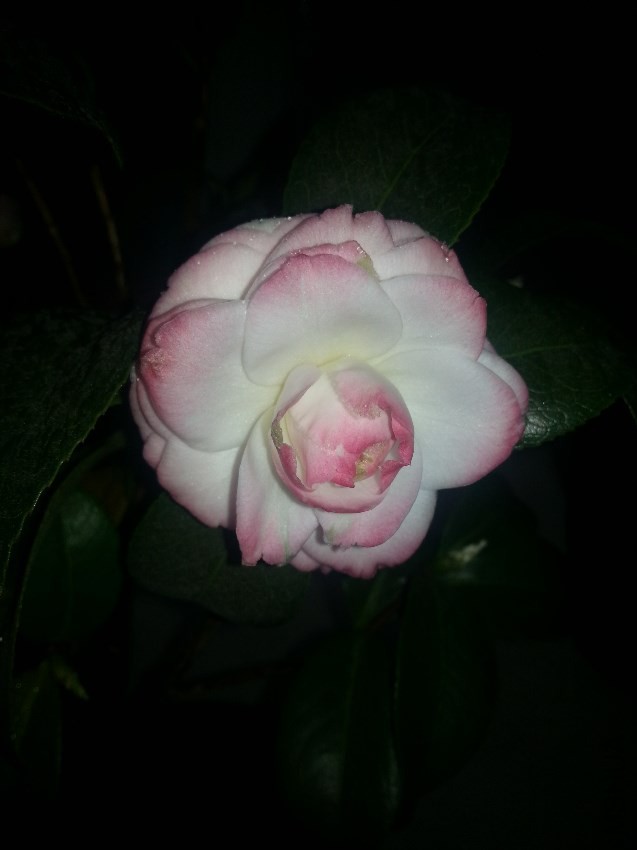 20161221_072442.jpg