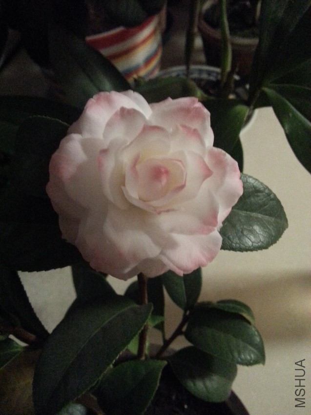 20161222_185107.jpg