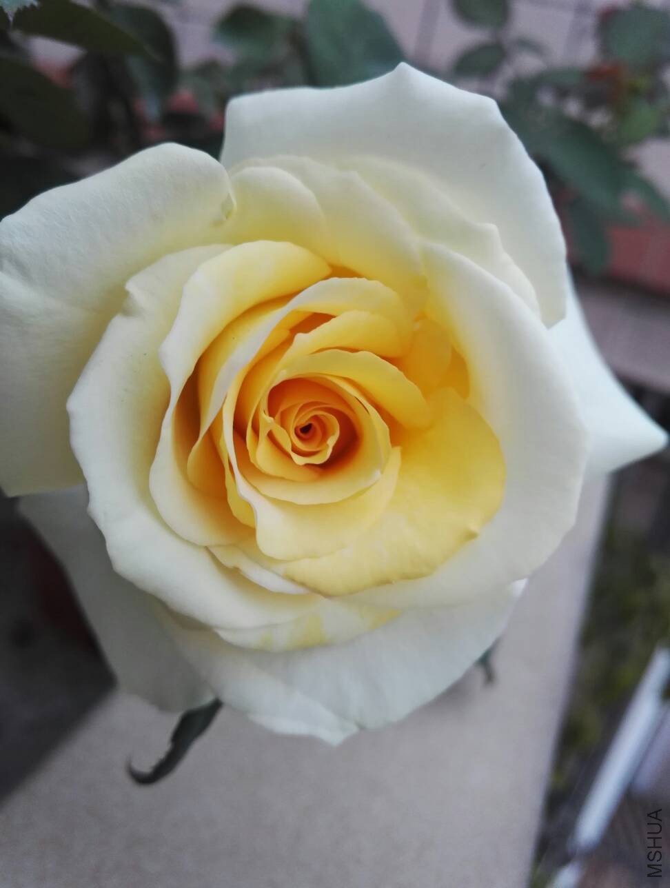 073214lxge24gz54pko45d.jpg