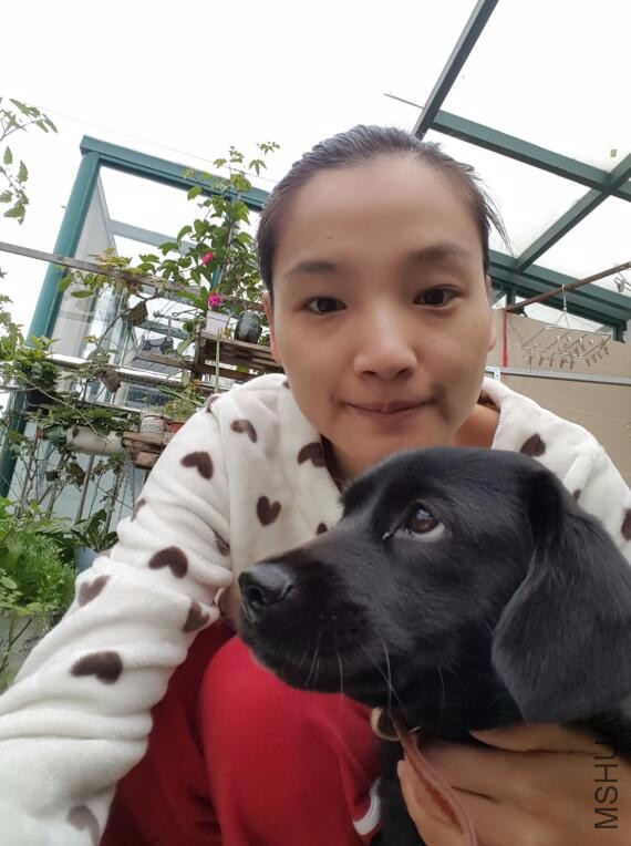 QQ��ͼ20161223105241.jpg