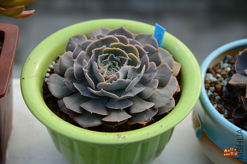 ��Ƭ 114_����.jpg