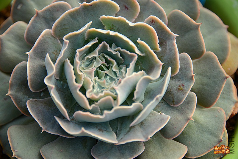 ��Ƭ 115_����.jpg