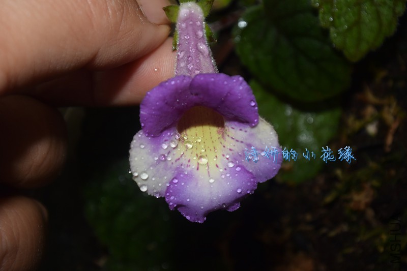 DSC_1628_����.jpg