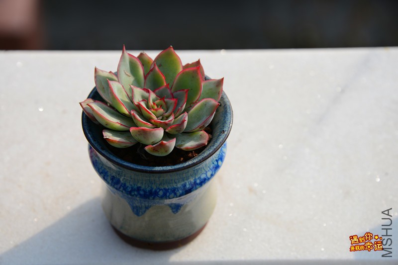 ��Ƭ 160_����.jpg