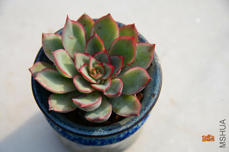 ��Ƭ 162_����.jpg