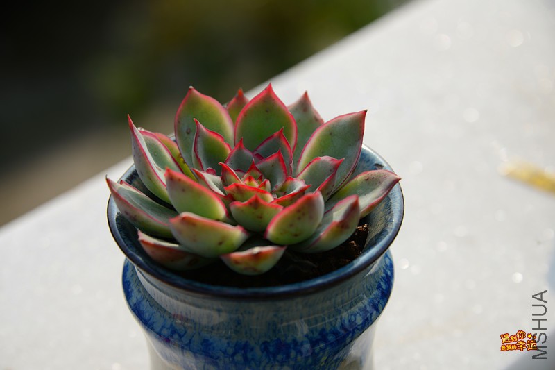 ��Ƭ 164_����.jpg