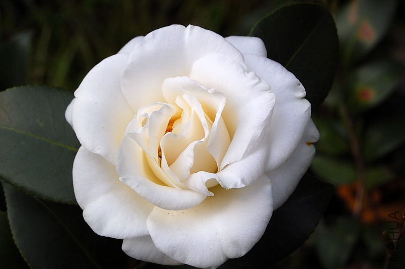 DSC_93090038.JPG