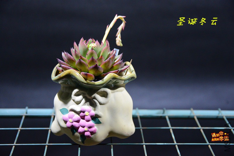 ��Ƭ 024_����.jpg