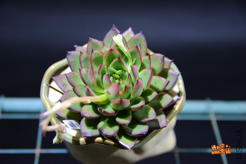 ��Ƭ 028_����.jpg