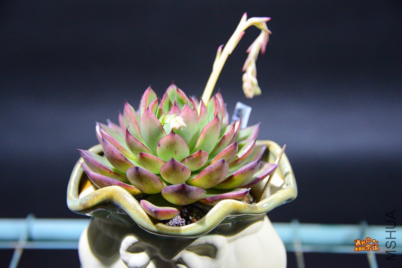 ��Ƭ 025_����.jpg