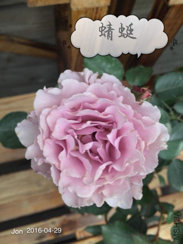 QQͼƬ20160512221858.jpg