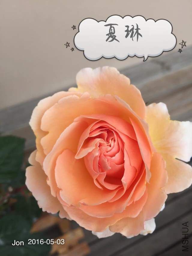 QQͼƬ20160512221812.jpg